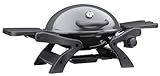 LANDMANN-GRILLCHEF Kompaktgasgrill 39 cm | Tragbarer Gasgrill mit Brenner aus Edelstahl | Mit 2...