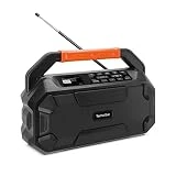 TechniSat DIGITRADIO 231 OD – DAB+ Outdoor-Boombox mit Akku (DAB/UKW-Baustellenradio, AUX in,...