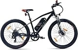 SachsenRAD E-Bike R6 27,5 Zoll Elektrofahrrad Pedelec bis 25 km/h und 100km, 250W Motor 36V 400WH...