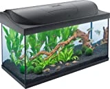Tetra Starter Line 105 L Aquarium Komplett-Set - inkl. Tag- & Nachtlicht LED-Beleuchtung,...