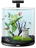 Tetra Explorer Line 60 L Aquarium Komplett-Set - Design Aquarium mit gebogener Frontscheibe,...