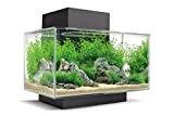 Fluval Edge 2.0 Nano Aquarium, 23L, schwarz, 1 Stück (1er Pack)