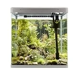 VIALIA Aquarium Komplettset mit LED-Beleuchtung, Pumpe und Filter, 38x24x43 cm, 30 Liter, Weiß,...