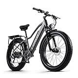 CEAYA Elektrofahrrad,E-Bike für Herren und Damen,26''E-Mountainbike,48V20AH E Fahrrad,Shimano...