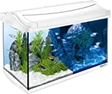 Tetra AquaArt LED Aquarium-Komplett-Set 60 Liter - inklusive LED-Beleuchtung, Tag- und...