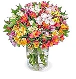 Blumenstrauß mit 33 Bunten Inkalilien (Alstroemeria) als Ideales Blumengeschenk, 200 Farbenfrohe...