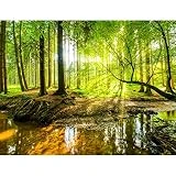 Fototapete Wald Bach 352 x 250 cm Vlies Tapeten Wandtapete XXL Moderne Wanddeko Wohnzimmer...