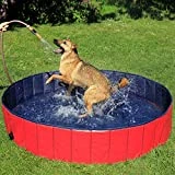 lionto Faltbarer Hundepool Schwimmbecken für Hunde Hundebad Größe (L) 160cm Ø Höhe 30 cm