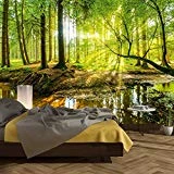 murimage Fototapete Wald 366 x 254 cm inklusive Kleister Bäume Holz Sonne Natur Schlafzimmer...