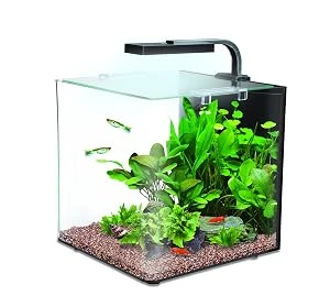 Nano Aquarien