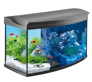 Aquarien